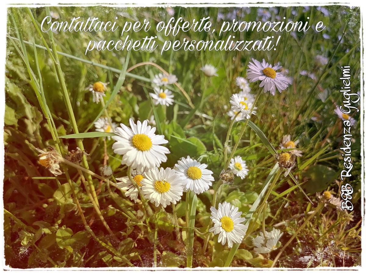 Residenza Guglielmi Bed & Breakfast Campobasso Exterior photo